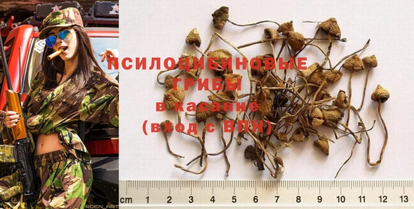трава Покачи