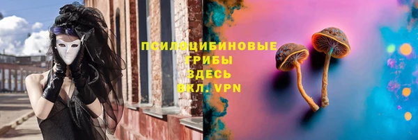 амф Абдулино